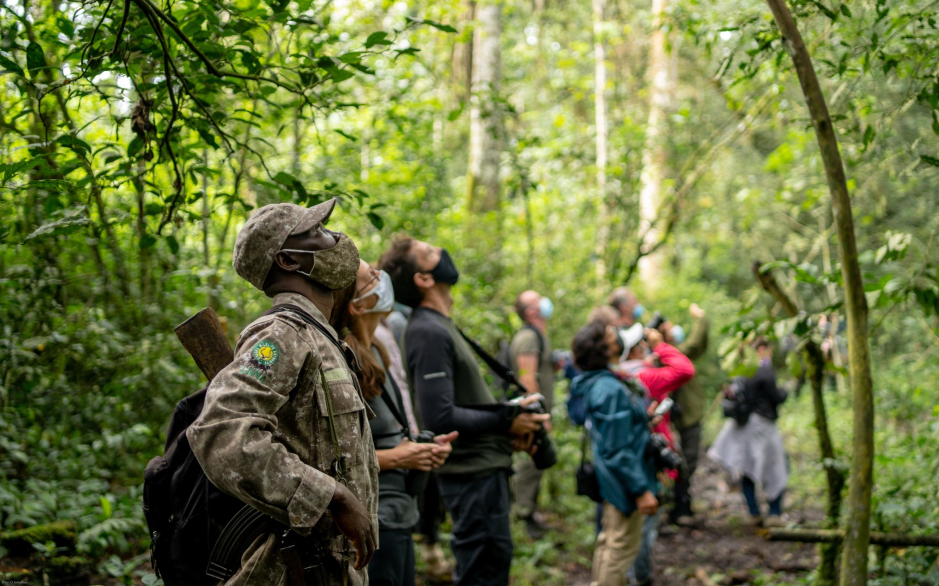Nature Walks in Uganda