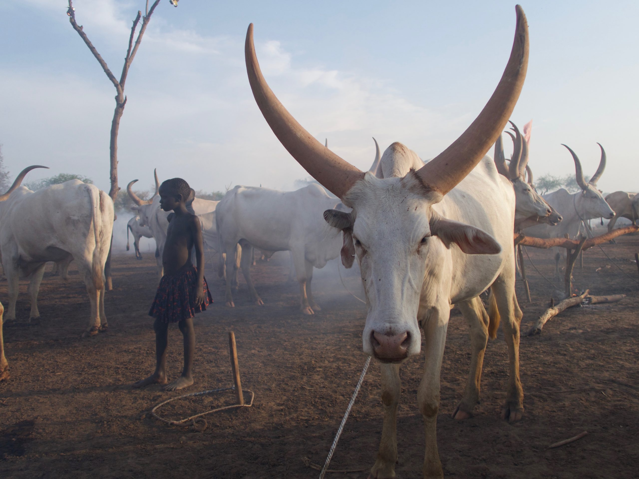 8 Days tribes of South Sudan Expedition
